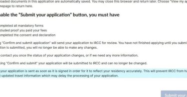 When Bobat tries to submit her application she can't, because the submit button is greyed out.