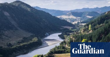 الأمريكيون الأغنياء يت flockون للتقدم للحصول على "التأشيرات الذهبية" في نيوزيلندا بعد تخفيف القواعد