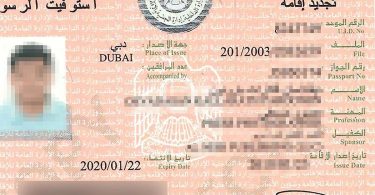 كيفية التحقق من الرقم الموحد (UID) في الإمارات باستخدام تفاصيل جواز السفر